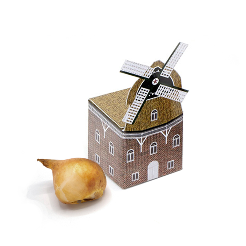 Mini windmill with flower bulbs